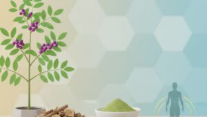 Ashwagandha and Weight Loss: What Our Experts Have Found