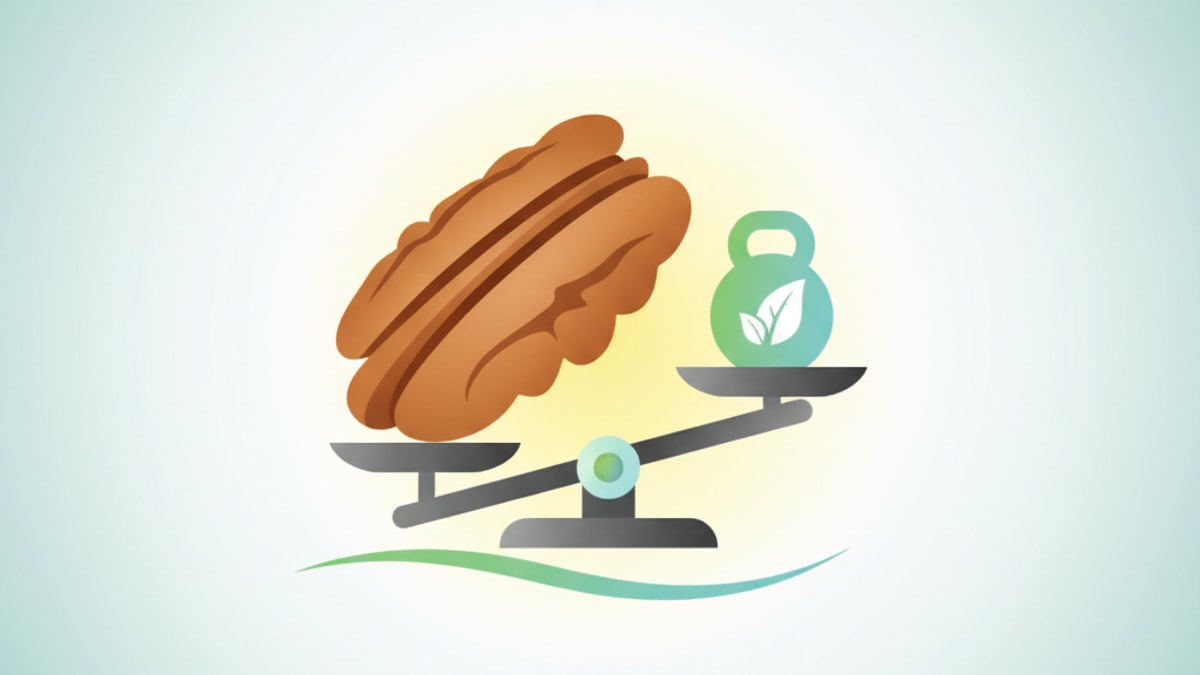 Are Pecans a Secret Weapon for Weight Loss? Our Team Explains