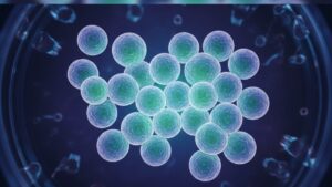 NAD+ Science Cellular Health — How It Powers Your Cells