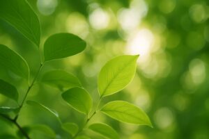 The Ethics of GLP-1 Marketing: DTC Advertising & Patient Autonomy