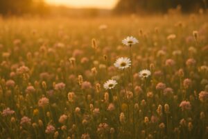 Exenatide Drug Interactions: What You Can and Cant Take with It
