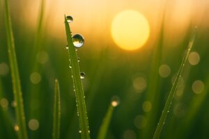 Maintenance After GLP-1: Building Habits That Last