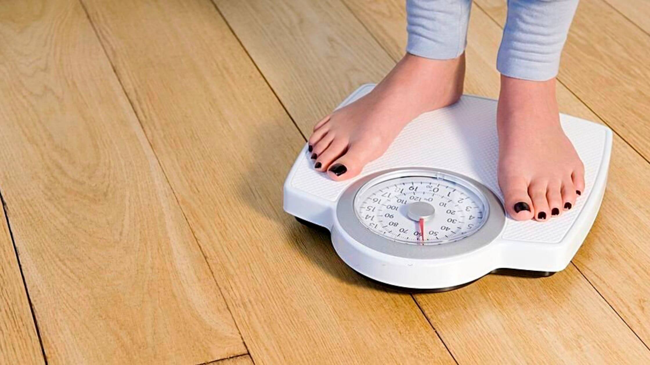 Top 5 Best Weight Loss Programs for Beginners in 2026